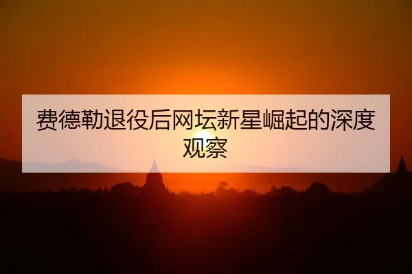 费德勒退役后网坛新星崛起的深度观察